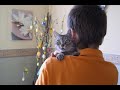 Meine s��e Katze Teil 2