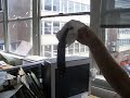 Banana Bag