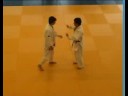 Quirijn Meijer 1e DAN examen