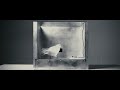 oha! çok güzel. Mr. Nobody  - Pigeon Superstition http://www.youtube.com/watch?v=YGcEy_W48Kc