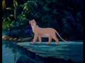 Assistir ao v�deo