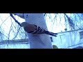 American goldfinch