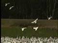 Wild About Washington: February 2008