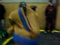 videos de CIMG3519.AVI