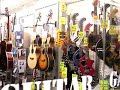 Vignette 8: The Woodchuck has a Guitargasm