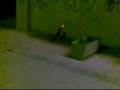 Gatto insegue il raggio laser - divertente