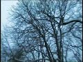Osnabrücker Winterschwenks.divx