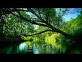 Relaxing Celtic Music - Spring Charm (jarní kouzlo) - Relaxační hudba (Relaxing Music)