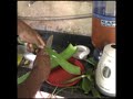 A SOLUÇAO PRA TODAS AS DOENÇAS