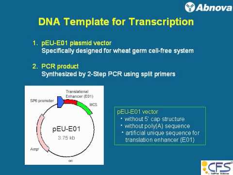 Wheat Germ Cell-Free Protein Synthesis – Lecture Series 1
