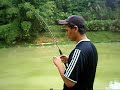 Pacu B.A mengganas