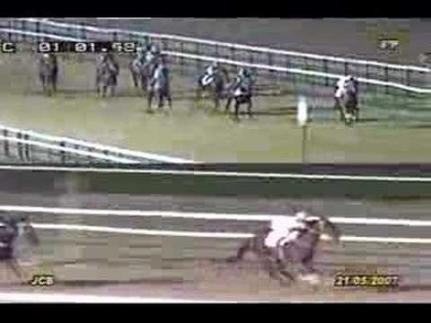 Rio Plata, my 5th win - passed to ...