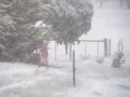 Alexa-in-the-Snow-Wo