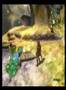 Twilight-Princess-Fi