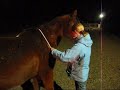 Injectie voor Cesar