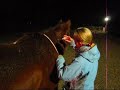 Injectie voor Cesar Injectie voor Cesar