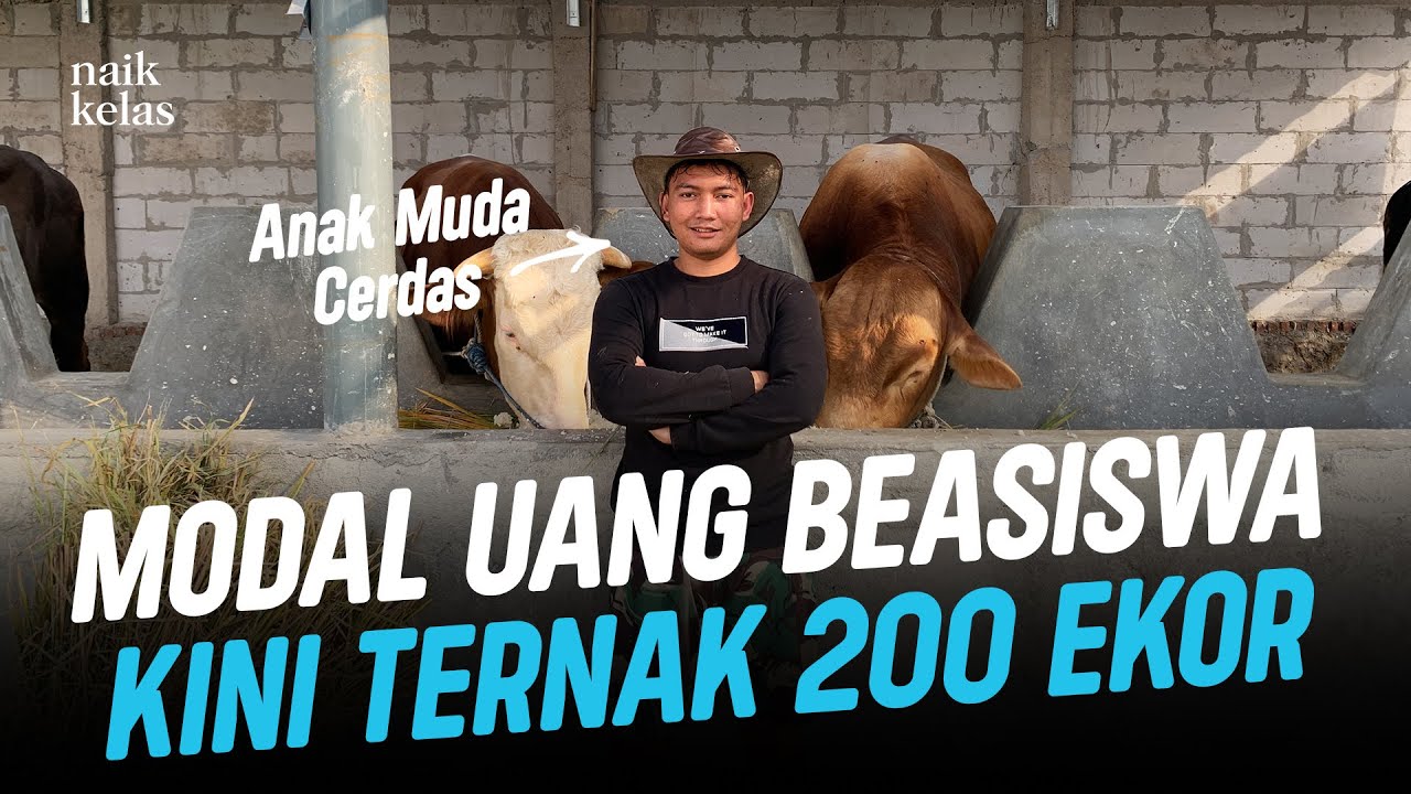 Sukses Ternak Sapi Dari 2 Jadi 200 Ekor Tanpa Ngarit di Usia 25 Tahun