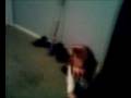 videos de Ashlyn punching the punching bag,