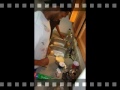 Let's Get Cooking!!