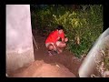Gar�funas