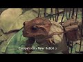 Beatrix Potter Attraction - Bowness