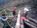 videos de Timber Sports in Solingen2