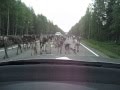 Kiukkunen isi Kiukkunen isi