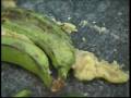 videos de Frullare la frutta scartata al mercato