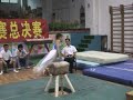 pommel horse routine - China pommel horse routine - China