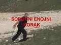 Nordic walking technique
