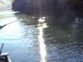 videos de Trophy Guide Service