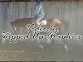 Hunter Pleasure AQHA- 4-H Reserve Champion Hunter Pleasure AQHA- 4-H Reserve Champion