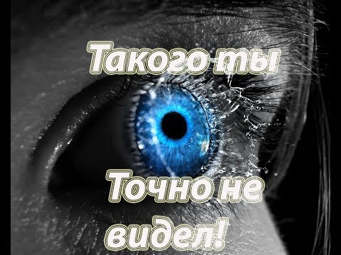 video-show