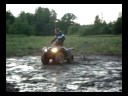 Marco & Honda TRX