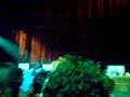 videos de Luisa che canta
