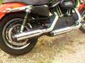 HD Sportster 883R with Rinehart slip-ons