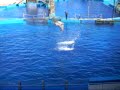 Valencia 08 - Oceanographic - part 2