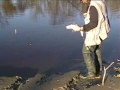 Halloween Sauger Halloween Sauger