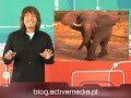 telurica tv 119   razones para tener un dominio propio
