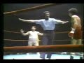 alfonso zamora figt carlos zarate