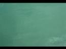 water @ pier 26