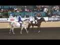 Night of the Horse 2008 - High Jump part1