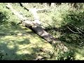 Tornadoschäden Insel Usedom Neppermin/Pudagla
