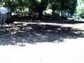 Medway Dog Park