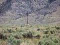 WILDLIFE IN THE LOST RIVER VALLEY