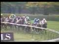 Tony Bin-Prix de l'Arc de Triomphe