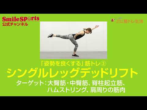 YouTube動画