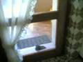 videos de Piccione che vuole entrare