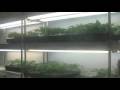 Bekijk video