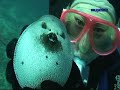SCUBA DIVING